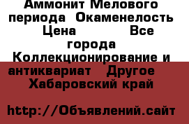 Аммонит Мелового периода. Окаменелость. › Цена ­ 2 800 - Все города Коллекционирование и антиквариат » Другое   . Хабаровский край